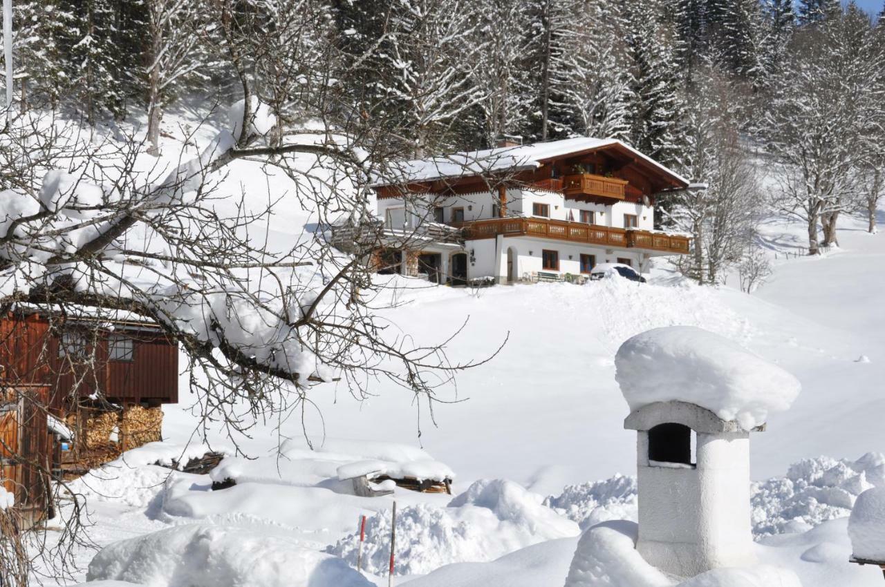 Gaestehaus Erle Ramsau am Dachstein Luaran gambar